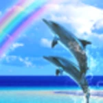 dolphin rainbow trial android application logo